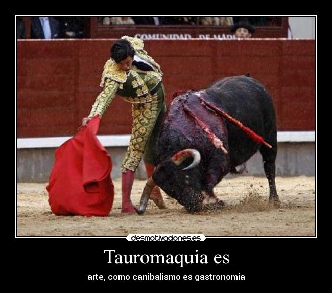 Tauromaquia es -