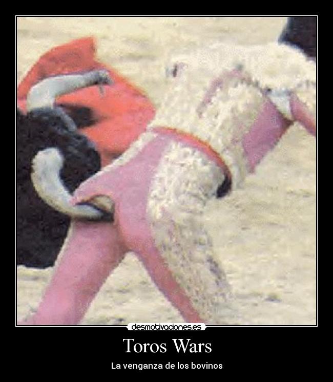 Toros Wars -