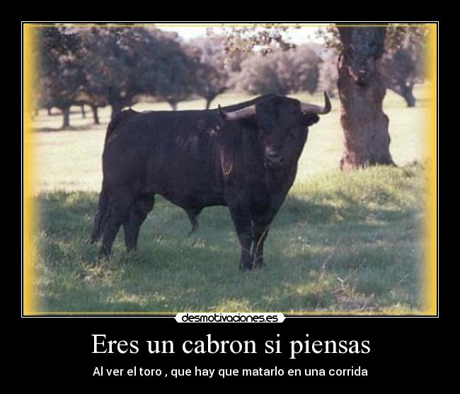 Eres un cabron si piensas -