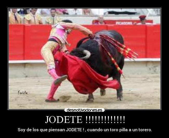 JODETE !!!!!!!!!!!!! - 