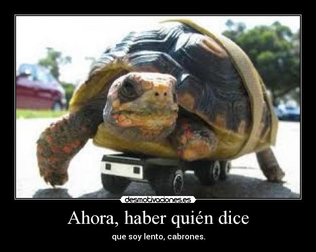 Ahora, haber quién dice - que soy lento, cabrones.