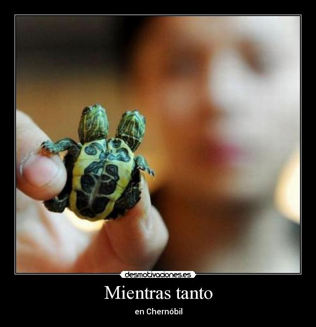 Mientras tanto - en Chernóbil