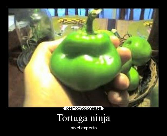 Tortuga ninja - 