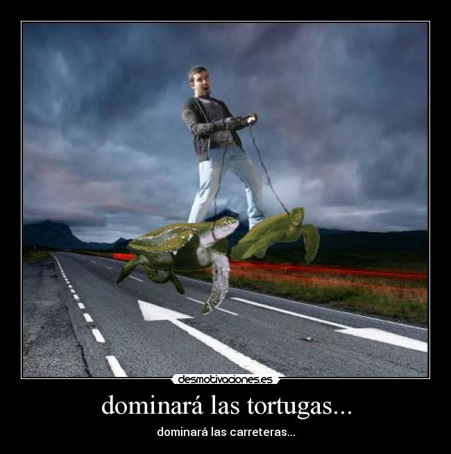 dominará las tortugas... -