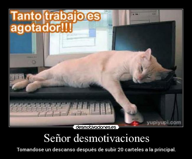 Señor desmotivaciones - Tomandose un descanso después de subir 20 carteles a la principal.