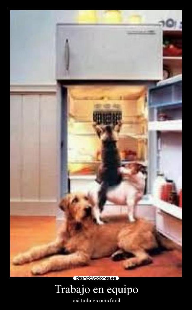 Trabajo en equipo - asi todo es más facil