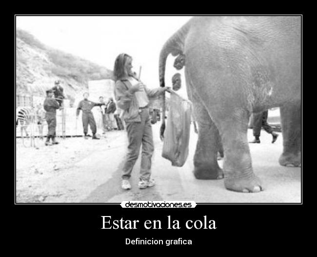 Estar en la cola - Definicion grafica