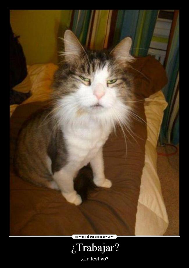 ¿Trabajar? - ¿Un festivo?
