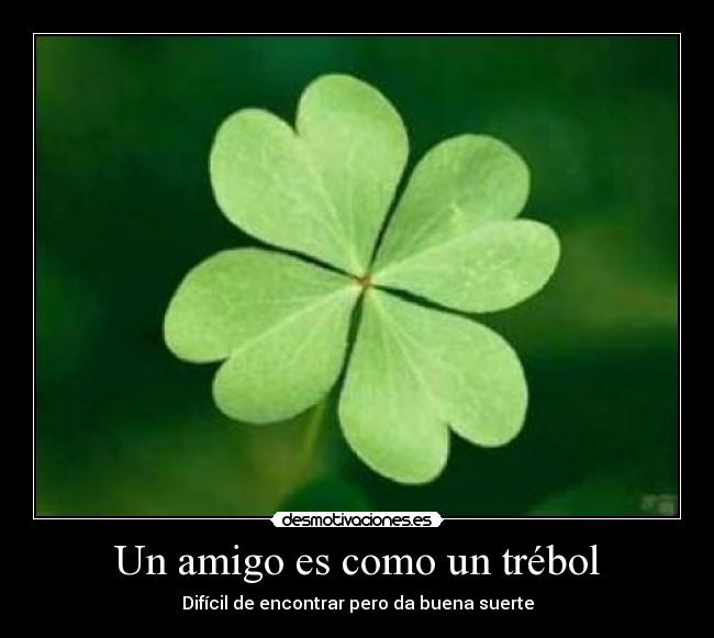 Un amigo es como un trébol -