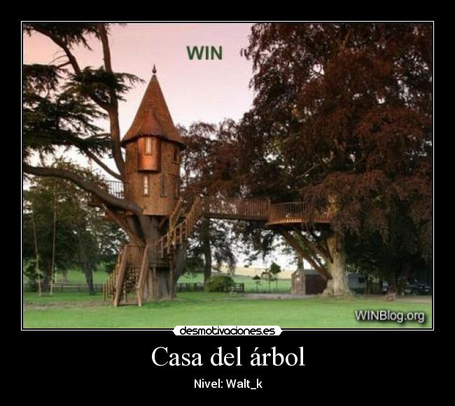 Casa del árbol - 