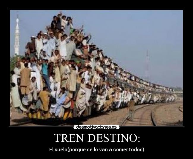 TREN DESTINO: - El suelo(porque se lo van a comer todos)