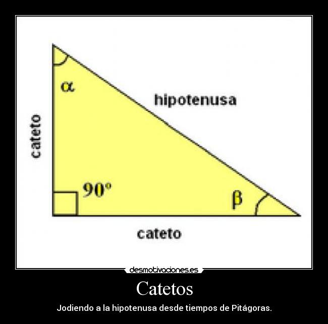 carteles catetos pitagoras desmotivaciones
