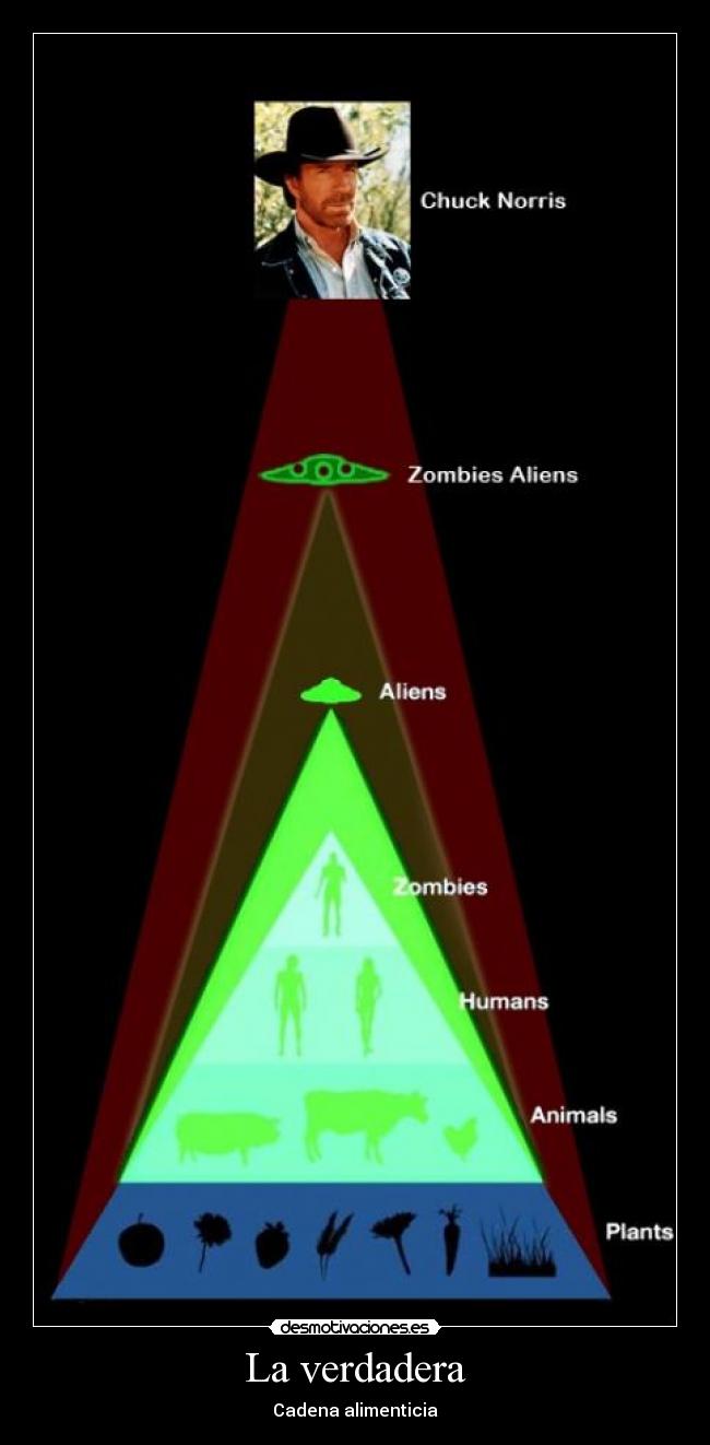 La verdadera - Cadena alimenticia