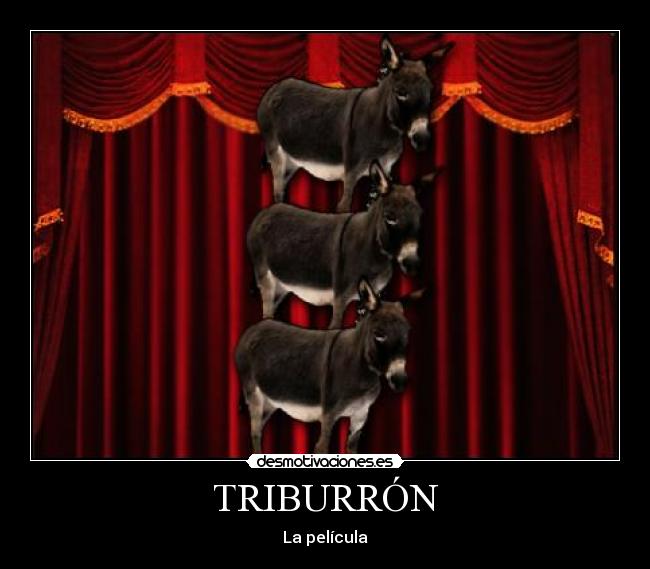 TRIBURRÓN -