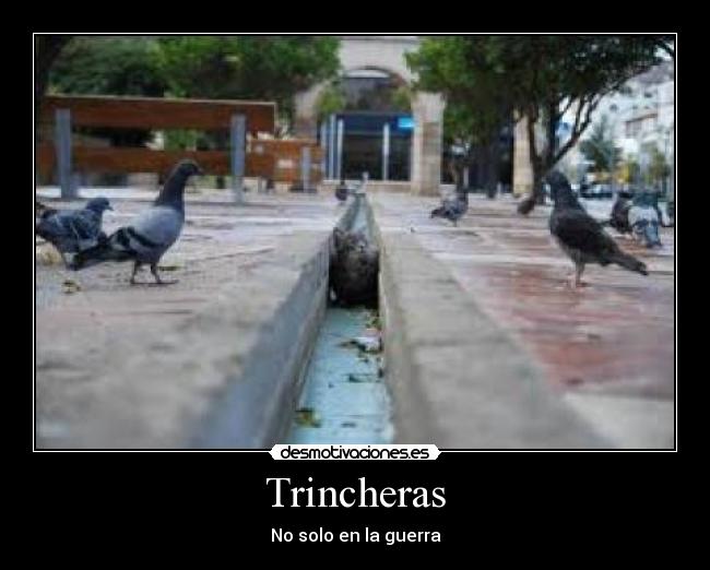 Trincheras - 