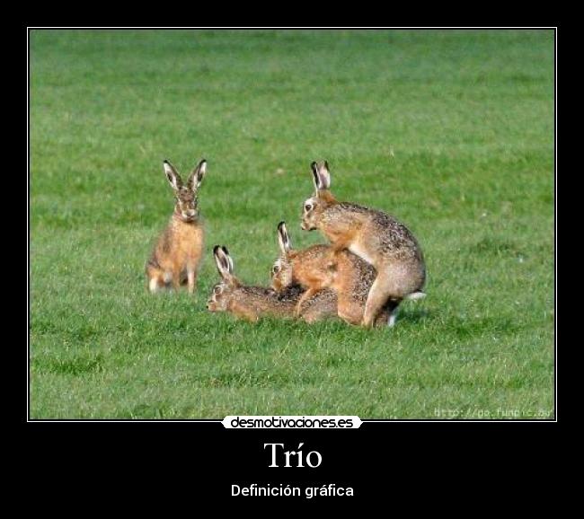 Trío -