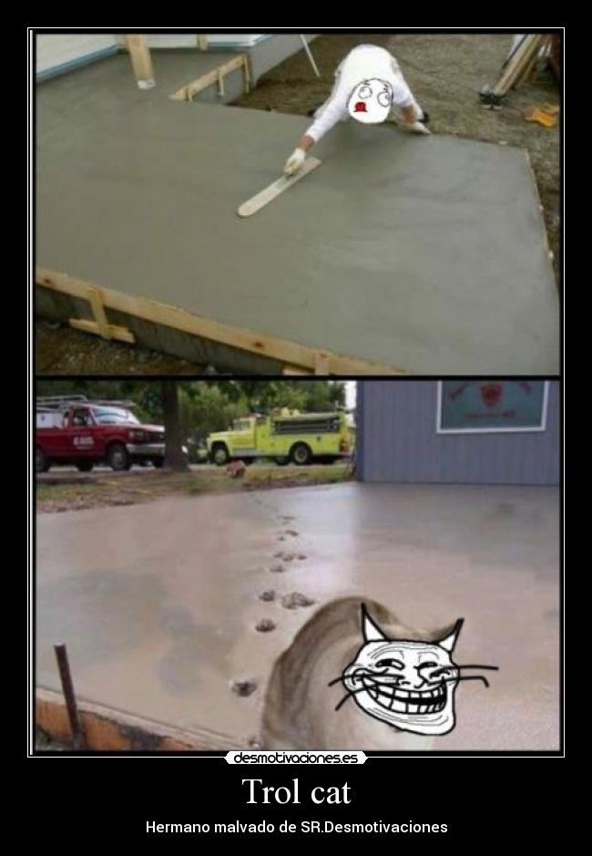 Trol cat -