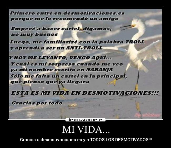 MI VIDA... - Gracias a desmotivaciones.es y a TODOS LOS DESMOTIVADOS!!!