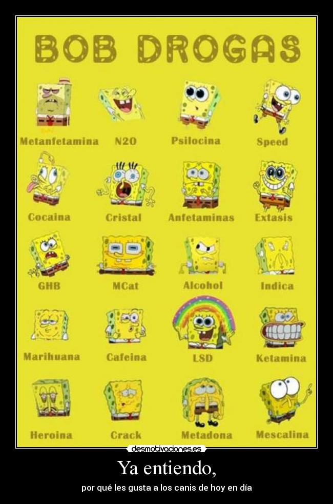 Ya entiendo, - por qué les gusta a los canis de hoy en día