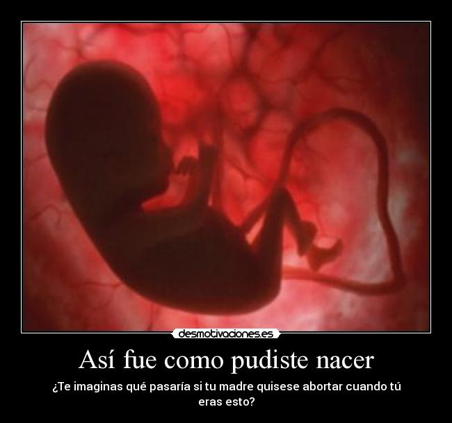 carteles tu desmotivaciones