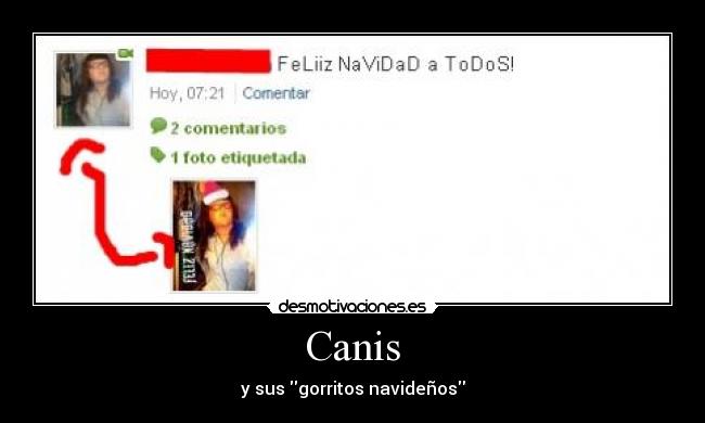 Canis - 
