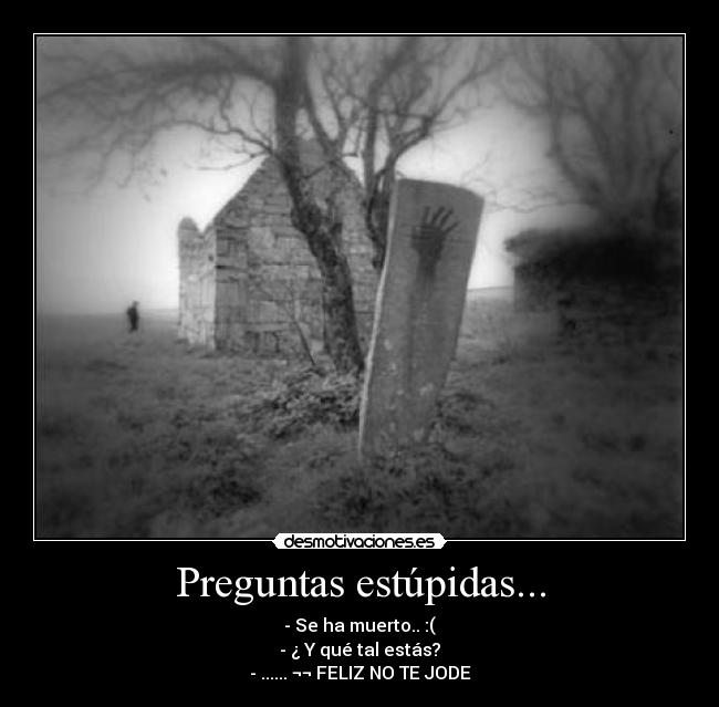 Preguntas estúpidas... - 