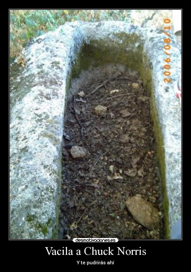 Vacila a Chuck Norris -