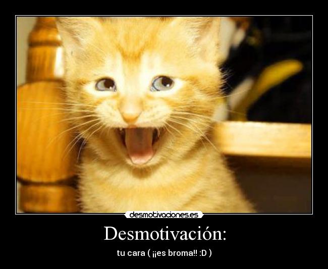 Desmotivación: -