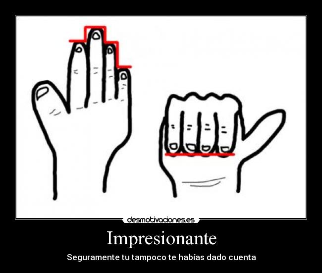 Impresionante - Seguramente tu tampoco te habías dado cuenta