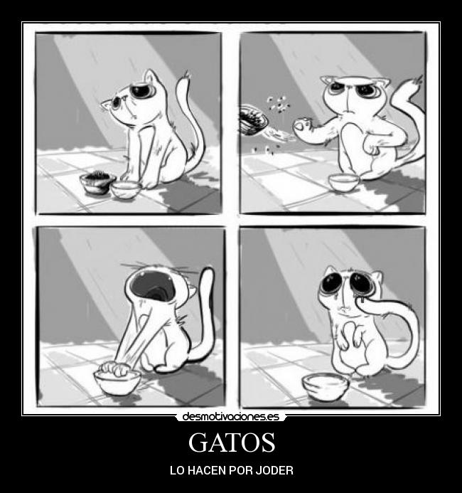 GATOS - 