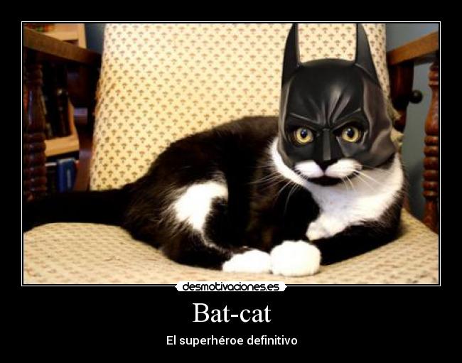 Bat-cat - El superhéroe definitivo