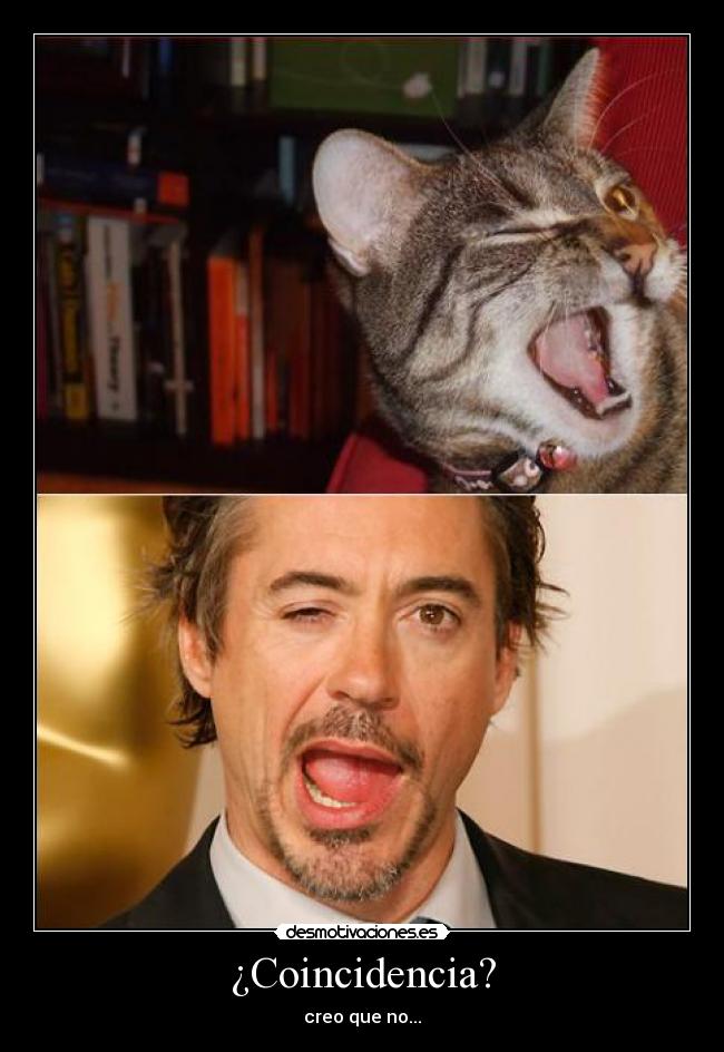 ¿Coincidencia? -