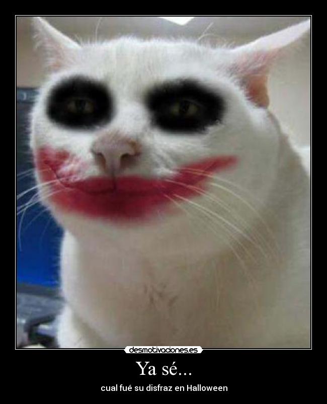 Ya sé... - cual fué su disfraz en Halloween