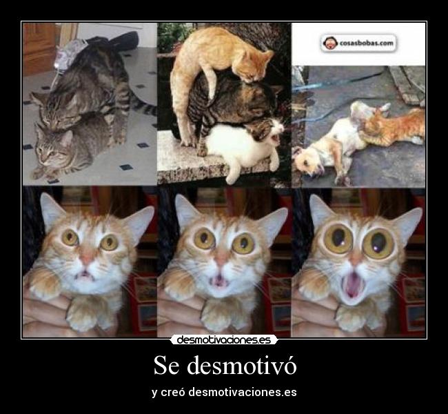 Se desmotivó - y creó desmotivaciones.es