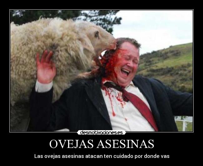 OVEJAS ASESINAS - Las ovejas asesinas atacan ten cuidado por donde vas
