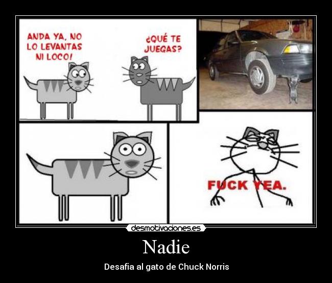 Nadie - 