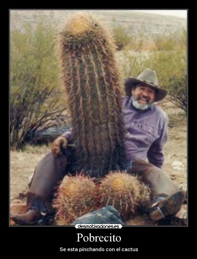 carteles cactus desmotivaciones