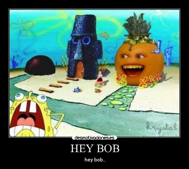 HEY BOB - 