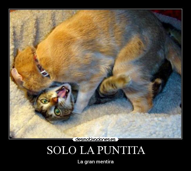 SOLO LA PUNTITA - 