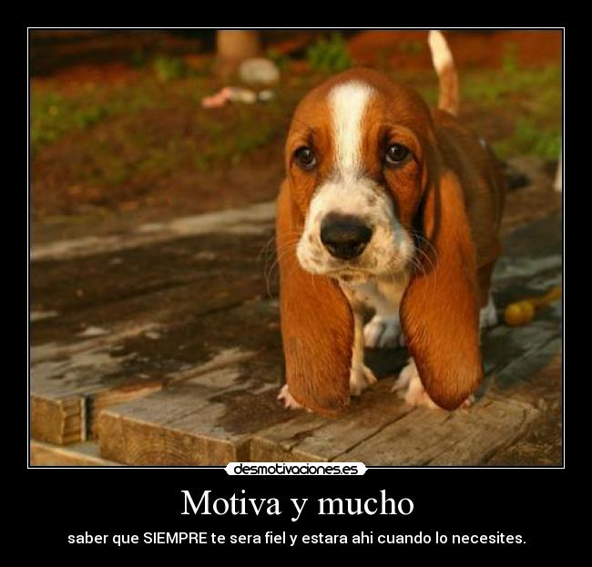 Motiva y mucho - saber que SIEMPRE te sera fiel y estara ahi cuando lo necesites.