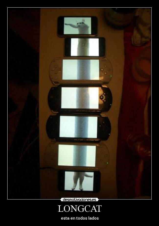 LONGCAT - esta en todos lados
