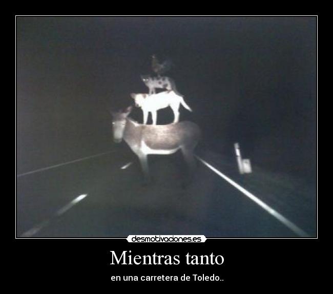 Mientras tanto - en una carretera de Toledo..
