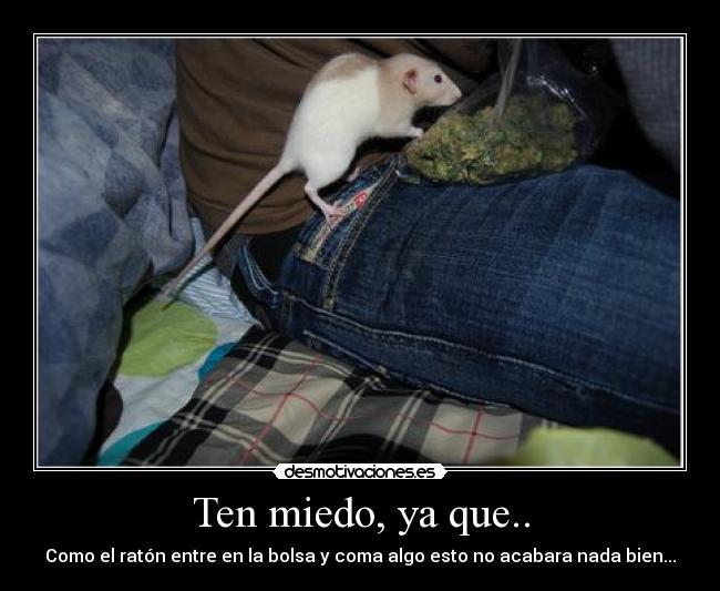 Ten miedo, ya que.. - 