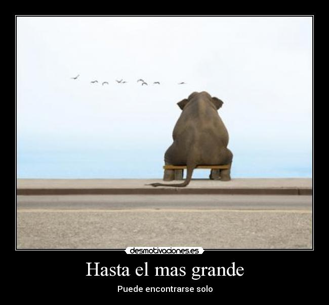 Hasta el mas grande - 