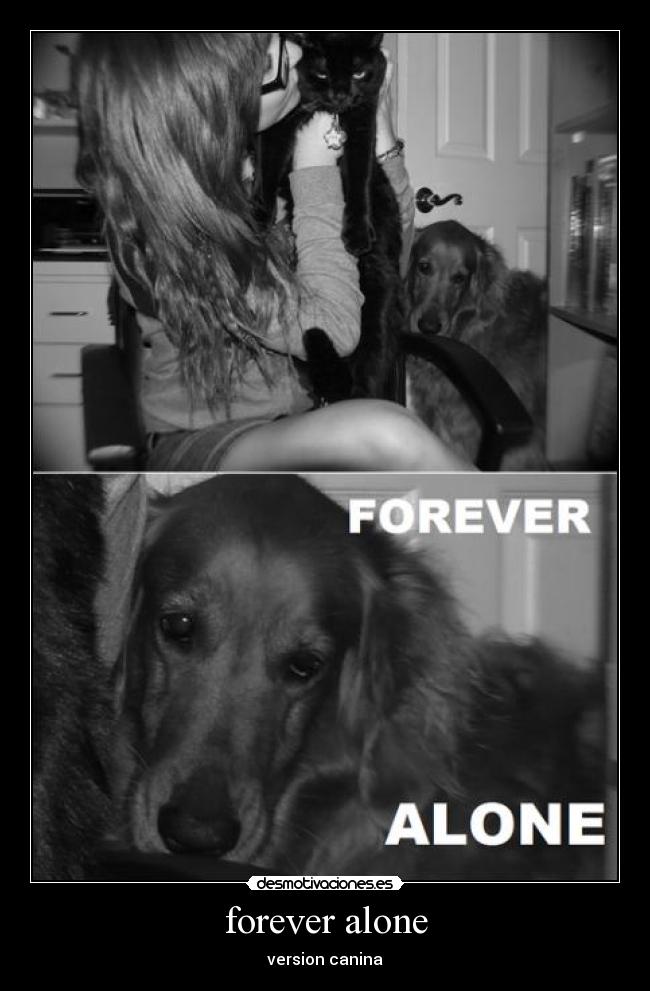 forever alone - version canina