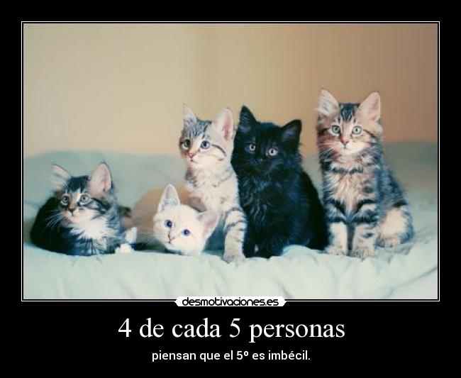 4 de cada 5 personas - 