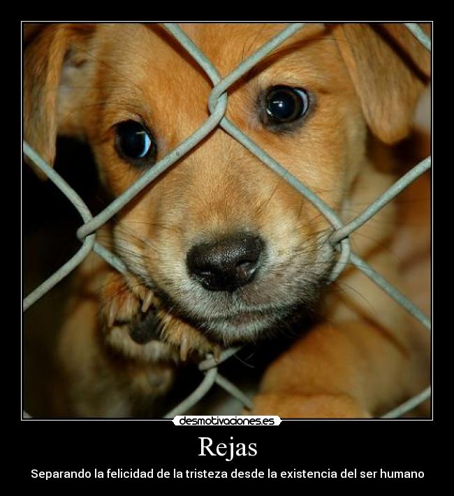Rejas - 