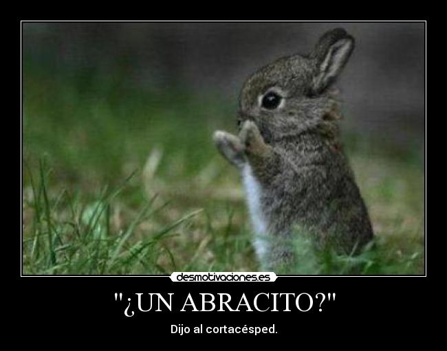 ¿UN ABRACITO? - 