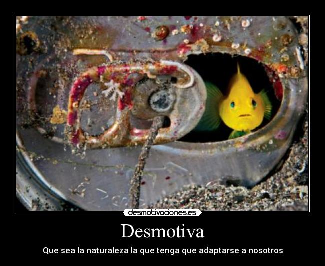 carteles desmotivacion desmotivaciones