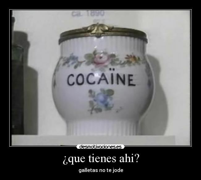 ¿que tienes ahi? - galletas no te jode